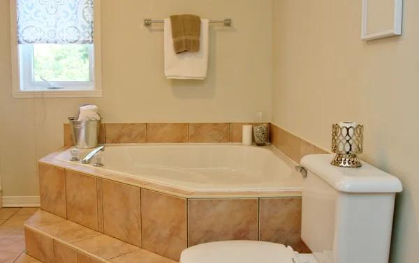 Practical Tips for Your Valrico Bathroom Makeover